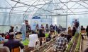 Colegiul Tehnic Agricol din Svetlîi a lansat cursul de formare continuă ”Creșterea legumelor in teren protejat”