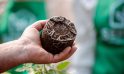 ”Creșterea legumelor în teren protejat” la Colegiul Tehnic Agricol din Svetlîi
